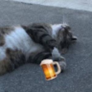 Meet your Posher, Kaido